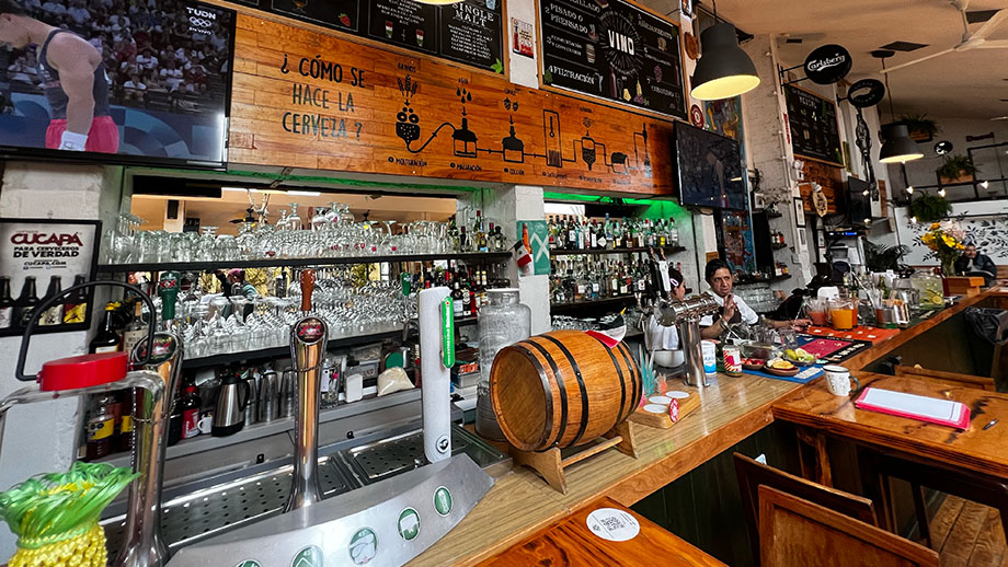 Prueba las mejores cervezas artesanales en Centenario 107