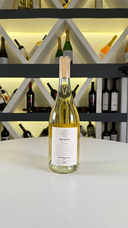 Rosado de la casa Centenario 107