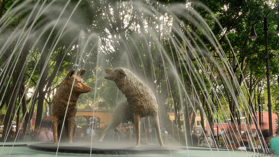 Redescubre Coyoacán en 1 día: cultura, arte y sabor