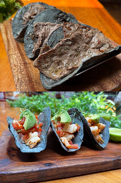 Variety of delicious tacos in Centenario 107