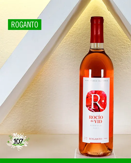 Rocío de Vid