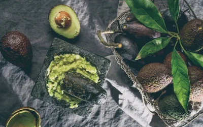 Aguacate mexicano: historia, variedades y el sabor de México