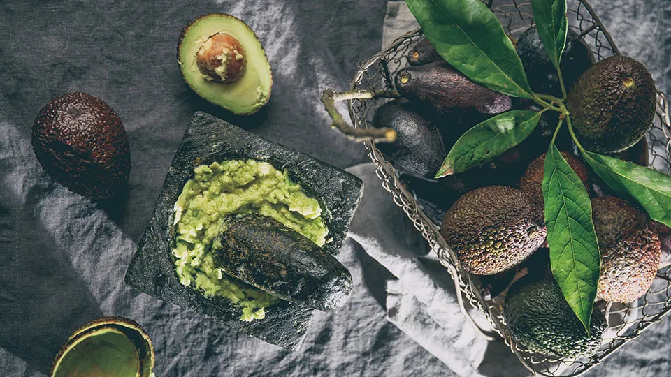 Aguacate mexicano: historia, variedades y el sabor de México