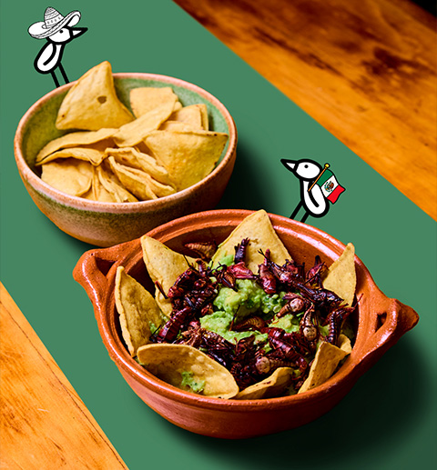 Guacamole con chapulines