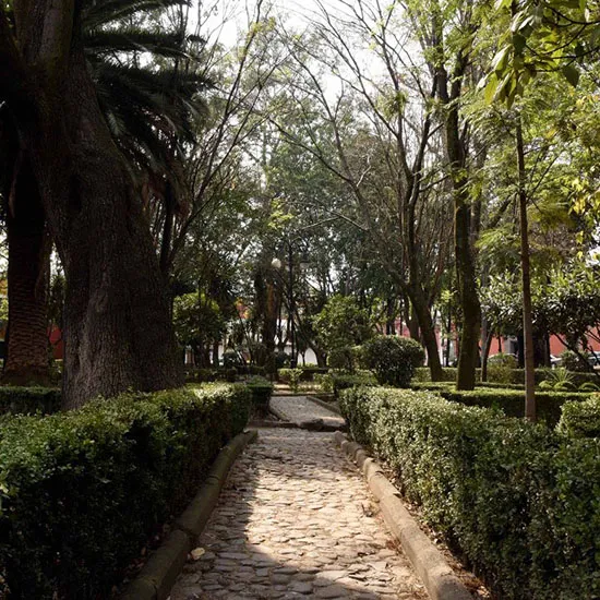 plaza la Conchita
