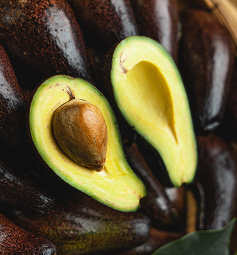 variedad de aguacates